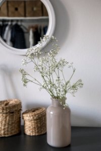 white flowers in white ceramic vase photo