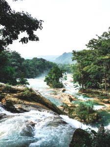 Mexico, Agua azul waterfalls, Waterfall