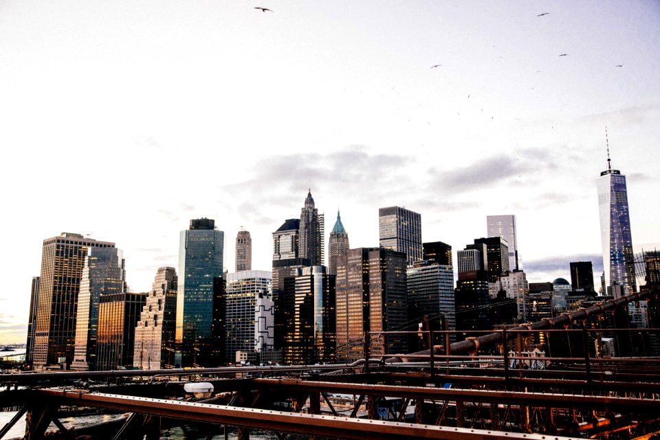 New York City during daytime