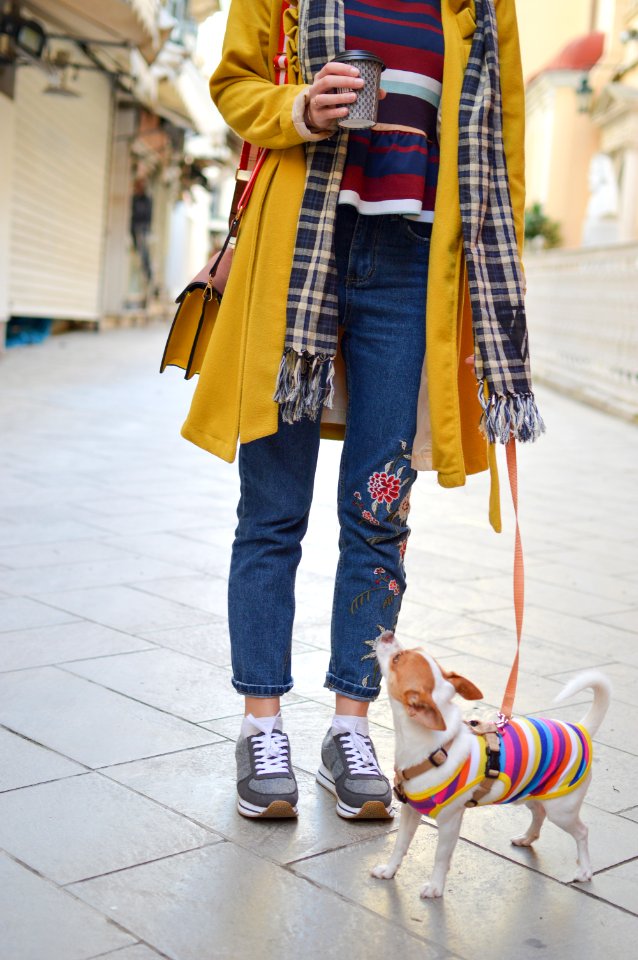 Jeans, Coffee, Cute dog