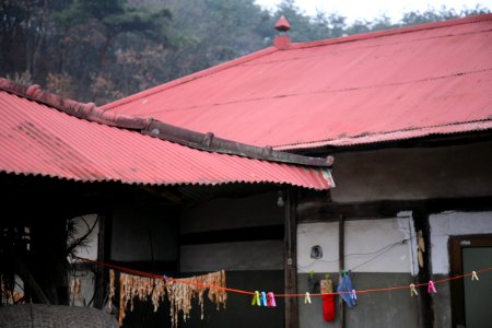 Farm, Red roof, Korea photo