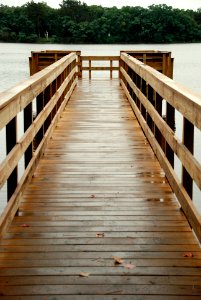 Marquette, United states, Wood