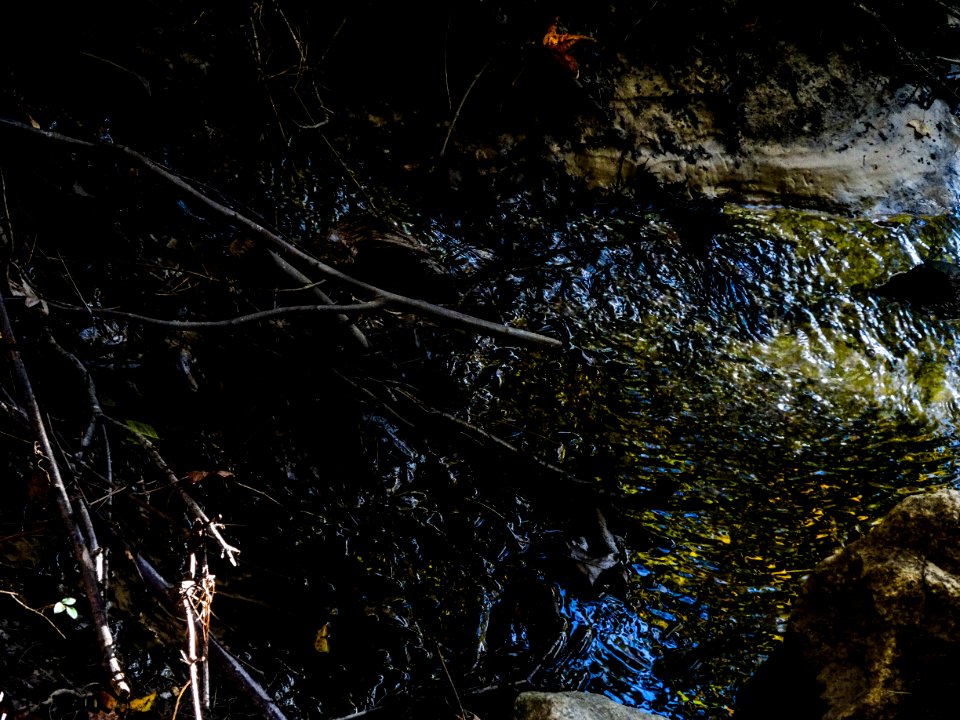 Florence rail trail, Florence, United states