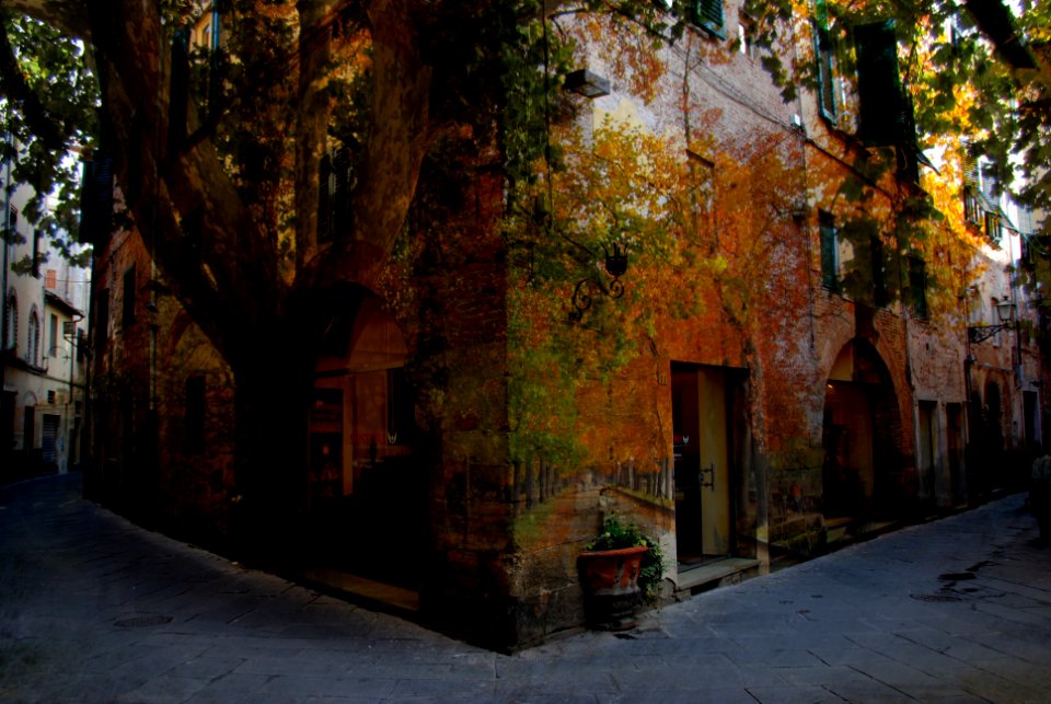Province of lucca, Italy, Lucca fantasy