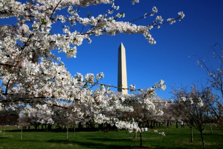 Washington, United states, White