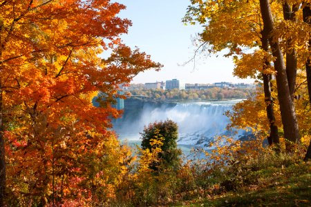 Niagara falls, Canada, Nature