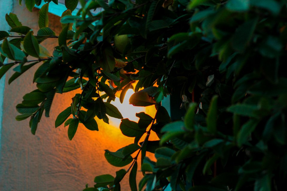Temple city, United states, Warmcolors