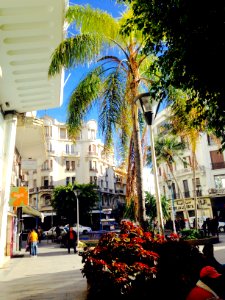 Derb omar, Casablanca,  casablanca