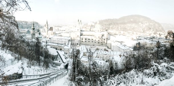 Salzburg, Austria, Trees photo