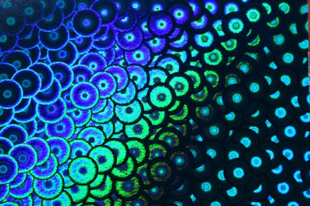 Photo paper paper hologram