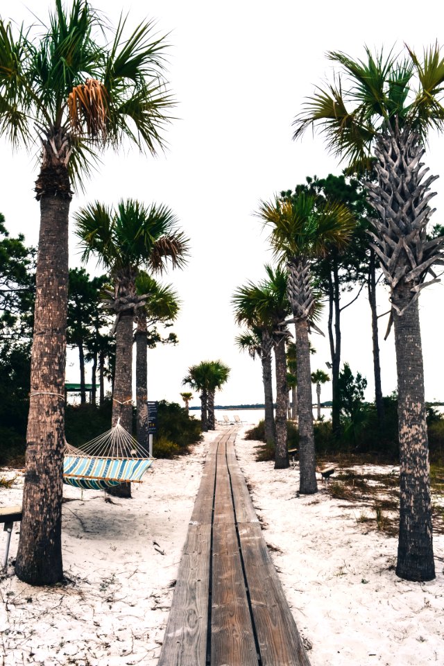 Nature, Sheraton bay point resort, Panama city beach