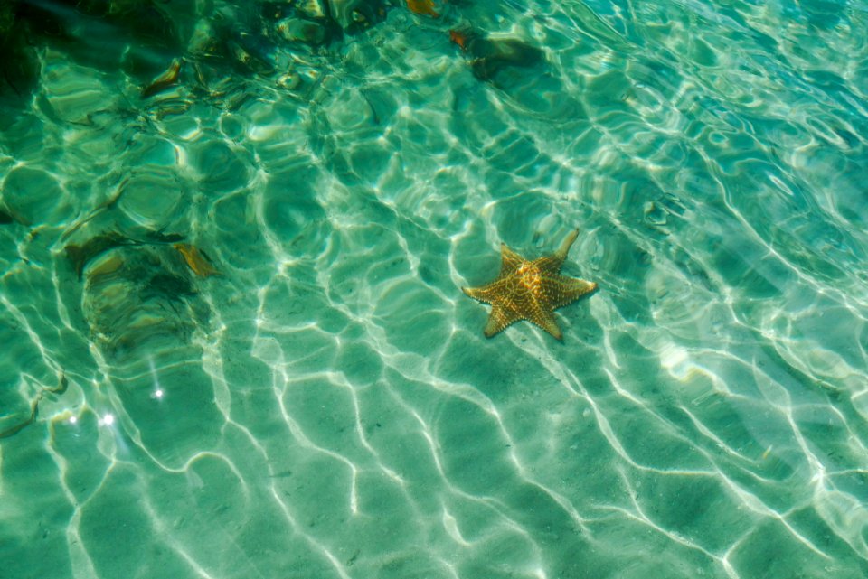 Panama, Drago beach house, Boca del drago
