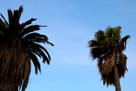 San francisco, United states, Outdoors