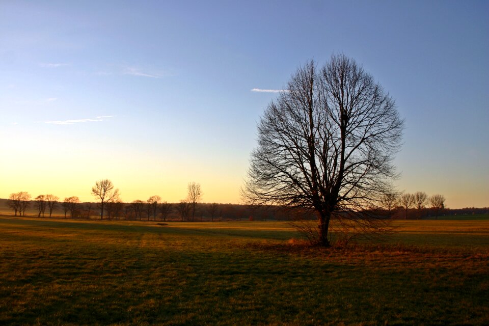 Autumn motives nature lighting