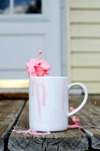 pink rose in white ceramic mug photo