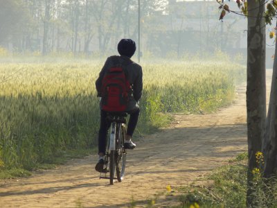 Younger brother, Villager Sand, Love punjab