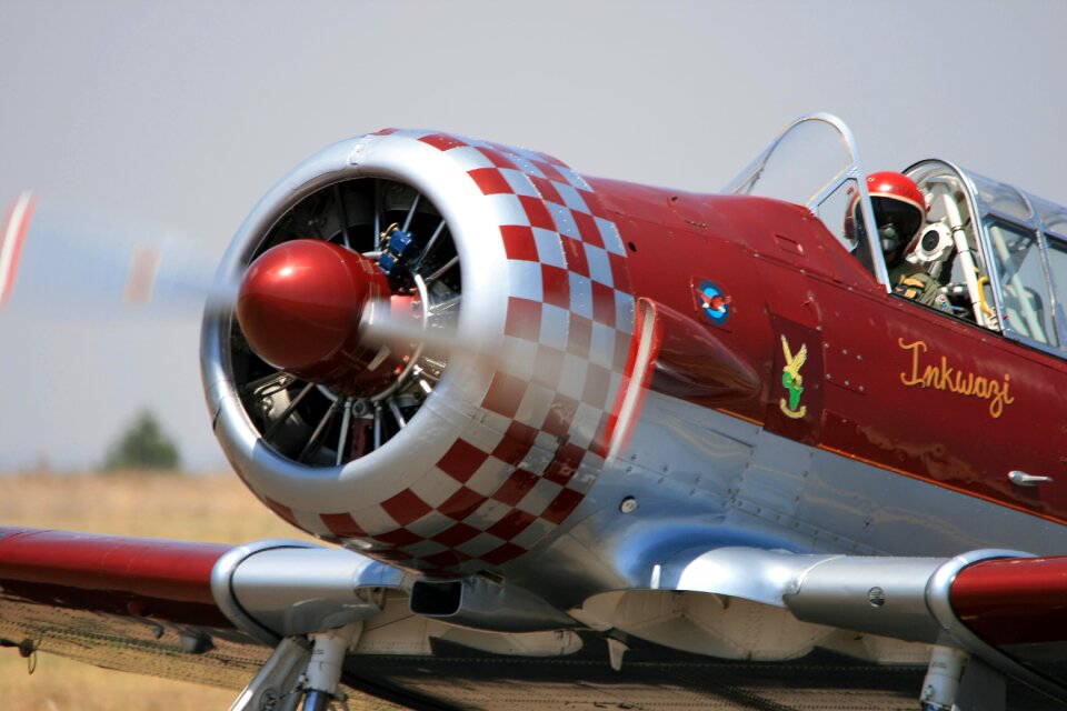 Trainer historic heritage