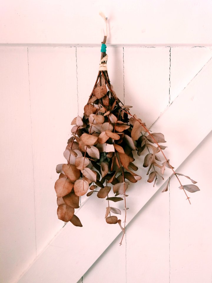 Nature, Details, Door
