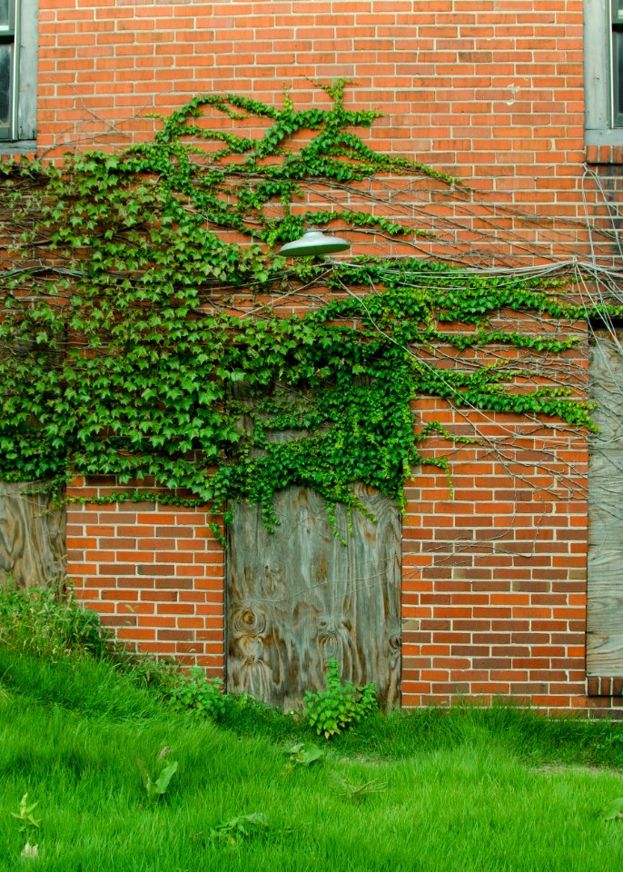 Peoria, United states, Vintage