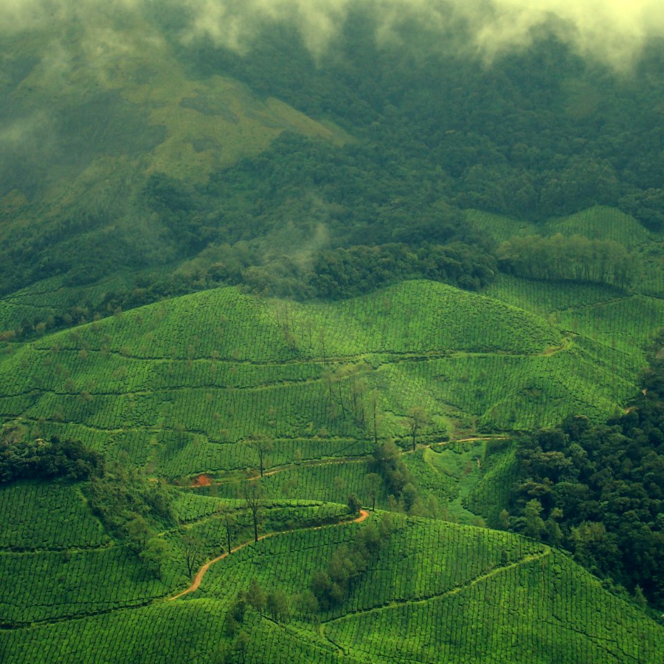 Fog, Mist, Arial