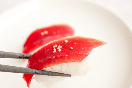 Japanese food tuna diet photo