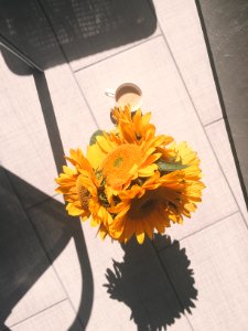 Inspiration in