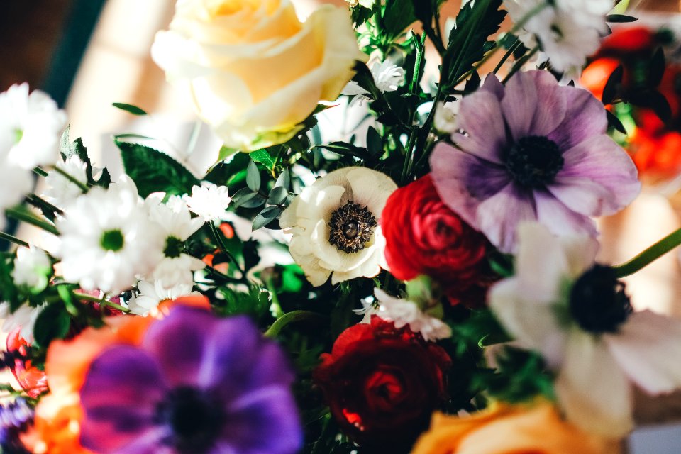 assorted-color flowers
