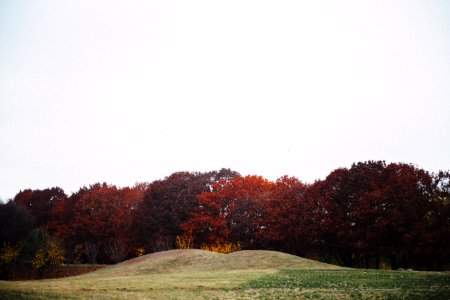 Coldness, Cold, Gold autumn