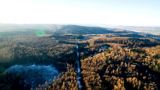 aerial photo of forest under white clouds