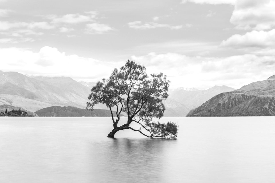 New Zealand, Lake wanaka, Scape