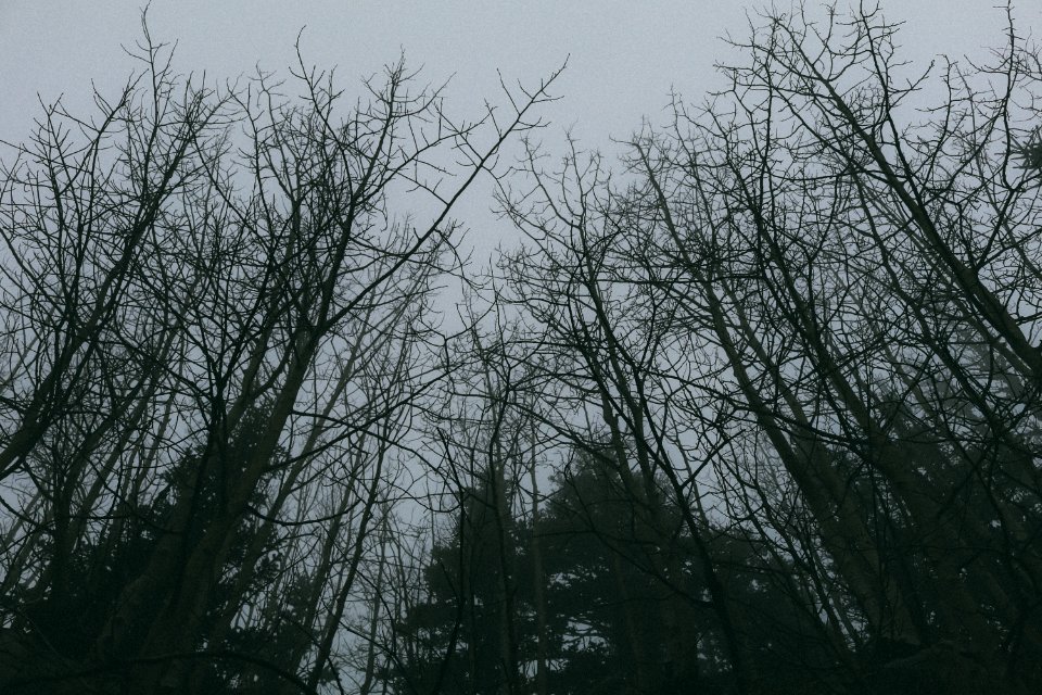 Albuquerque, United states, Gloomy