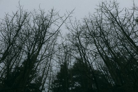 Albuquerque, United states, Gloomy