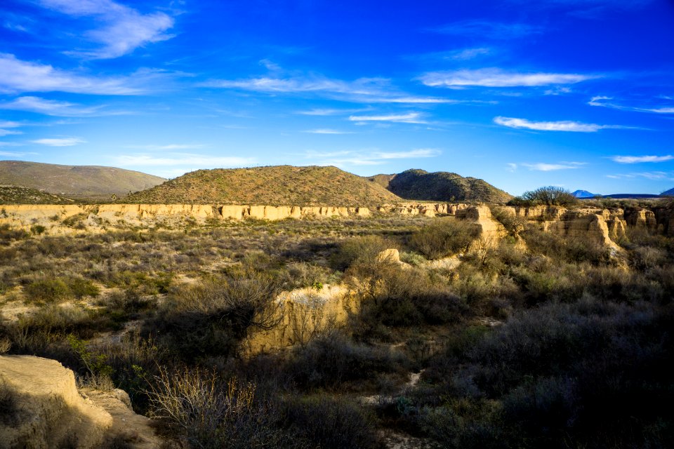 Saltillo, Mexico, Coahuila