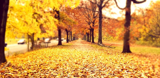 Philadelphia, South chamounix drive, United states