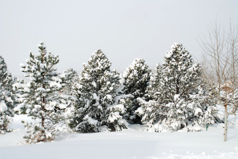 Colorado, United states, Winter