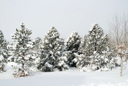 Colorado, United states, Winter