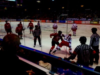 Fight, Game, Hockey photo
