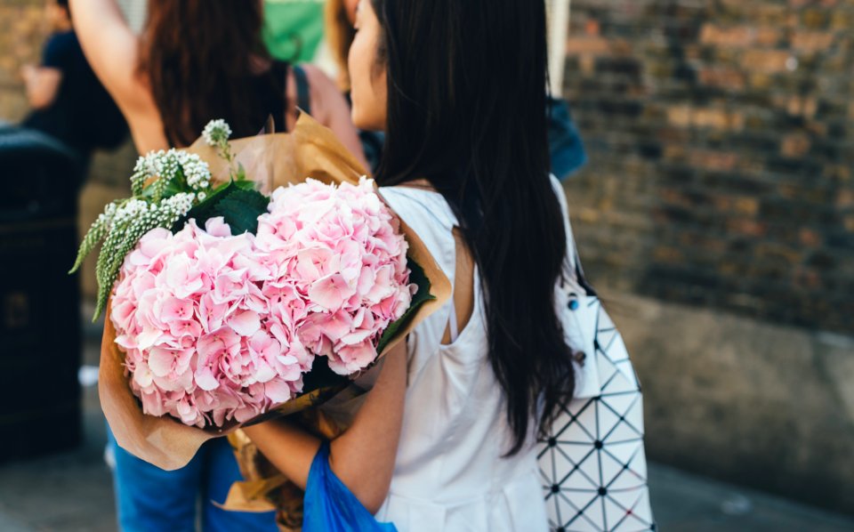 pink-petaled flowers