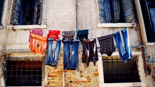 assorted hang clothes photo