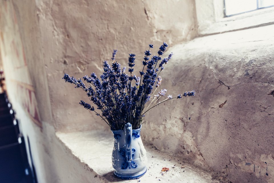 blue flowers in vase on window sill