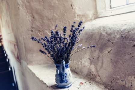 blue flowers in vase on window sill photo