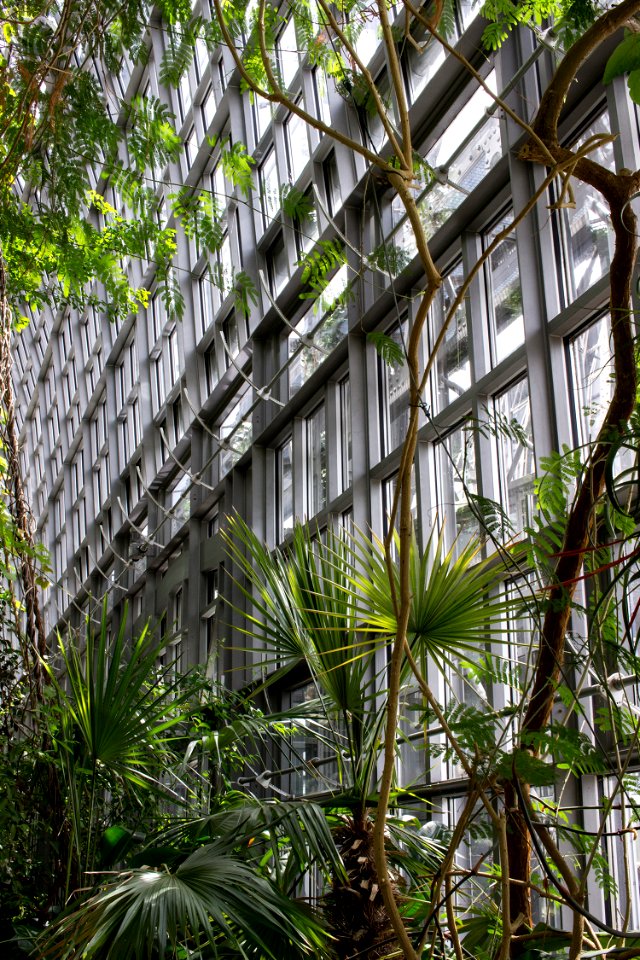 Botanical garden, Botanical museum, Berlin