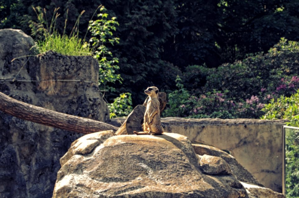 Liberec, Zoologick zahrada liberec, Czech republic