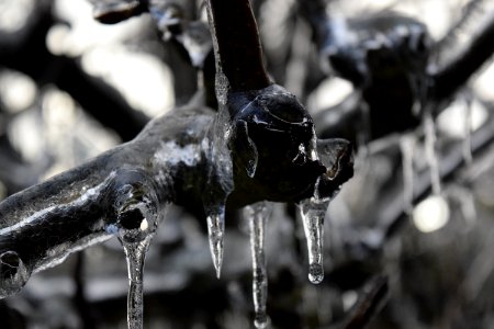 Close up, Macro, Melting