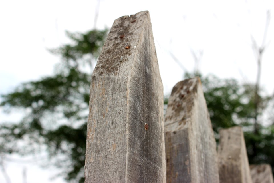 Reynosa, Mexico