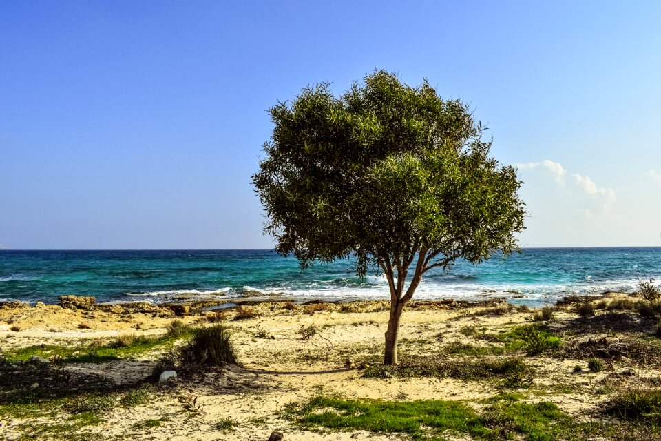 Scenery nature alone