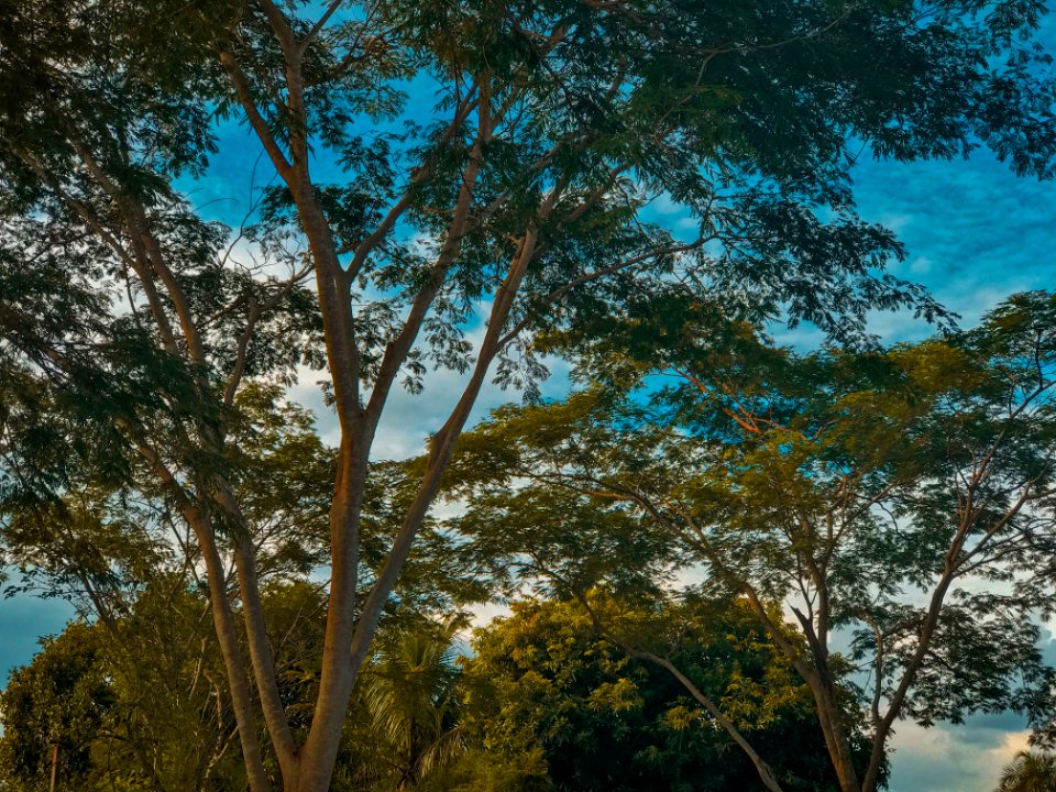 S o paulo, Brasil, Cloud