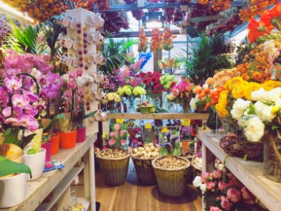 Netherl, Amsterdam, Flower shop photo