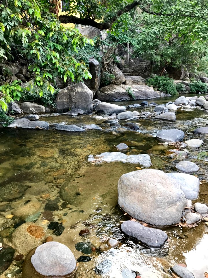 Mexico, Buenos aires, Puerto vallarta