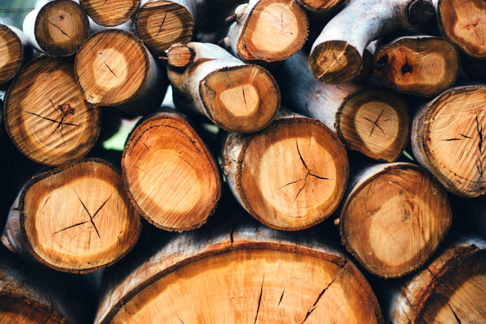 Wooden log, Wood pile, Tree branches